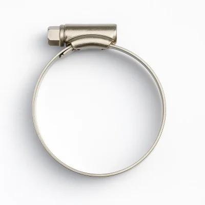 mild steel hose clamp top